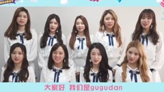 728粉絲節ID gugudan