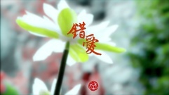錯愛