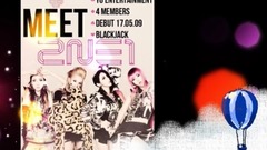 2NE1 (2014年)MV視頻排行