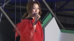不要驚動愛情