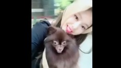BLACKPINK - JENNIE的寵物狗