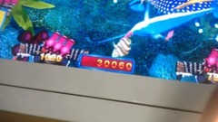 心臓を捧げ.~打魚機破解一打魚就死及捕魚機技巧規律打法