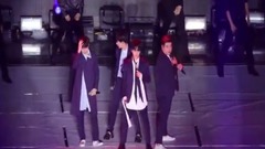 SMTOWN家族演唱會飯拍合集