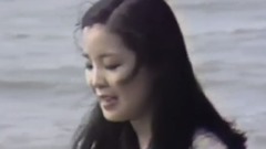 海鷗
