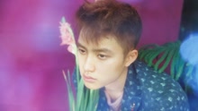EXO - EXO - THE WAR D.O.版預告
