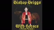 Bishop Briggs - Wild Horses