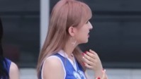介紹及互動