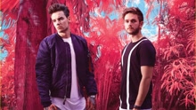 Zedd & Liam Payne - Get Low 巡演版MV
