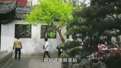 豫園春早