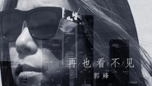 郭峰 - 再也看不見