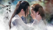 劉亦菲楊洋 三生三世十里桃花