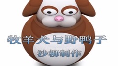 牧羊犬和野鴨子