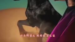 一壺老酒