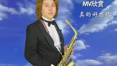 真的好想你(經典 國語金曲) -金薩克斯之家MV系列66