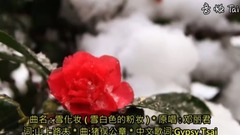 雪化妝