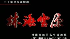 影視原聲 - 電視劇<林海雪原>片頭曲