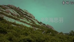 親親海思羽