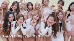 【red_velvet×少女時代】腿毛有愛瞬間