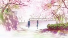 【多素材/櫻花/治愈】櫻花櫻花我想見你