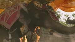 印度群星,影視原聲 - Bale Bale Bale 印度電影<巴霍巴利王2:終結>插曲 中英字幕