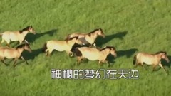蒼天般的阿拉善