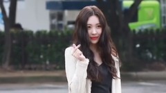 入程停儀