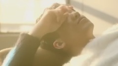 【許魏洲】BLACK BIRD
