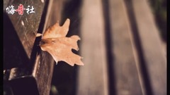 電子琴經典純音樂  好聽!