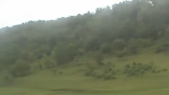 關山草原一游
