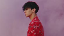 李起光 - What You Like 預告