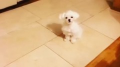 泰妍更新 prince一則