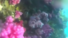 俞利更新一則