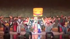 石家莊正定旅游發展大會視頻