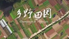 最美廈門 鄉野田園