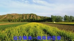 草原花開香四方MV