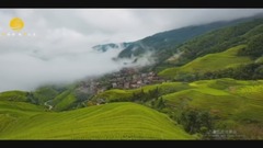 輕音樂 - 九妹(竹笛)