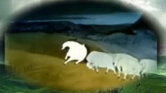 輕音樂 - 民樂合奏<草原贊歌>