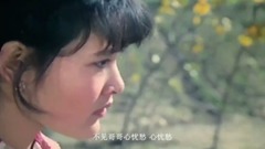 影視原聲 - 妹妹找哥淚花流