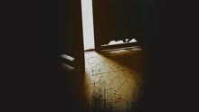 Kap?lar (Album Studio Teaser)