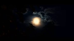 輕音樂 - 在銀色的月光下