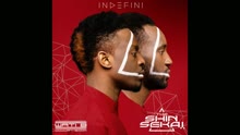 The Shin Seka? - Pour toi (audio) (Still/Pseudo Video)