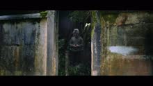 Salmo - Il messia (Videoclip)