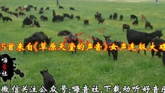 15首來自《草原天堂的聲音》經典女聲連版大碟!
