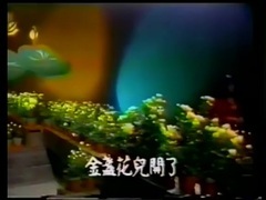 金盞花