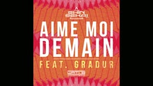 The Shin Seka? - Aime-moi demain (audio) (Still/Pseudo Video)