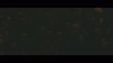 Anónimos (En Vivo)