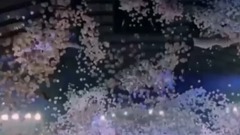 周杰倫地表最強 多角度最美<告白氣球海>