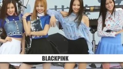 韓國KPOP各家女團中擁有非常好看應援棒的組合