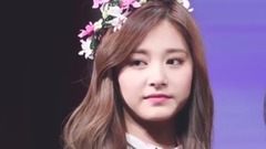 TZUYU FANSIGN COMPILATION 飯拍版