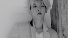 BAEKHYUN-KISS LAND 飯制版